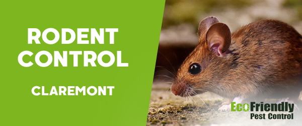 Rodent Treatment  Claremont 