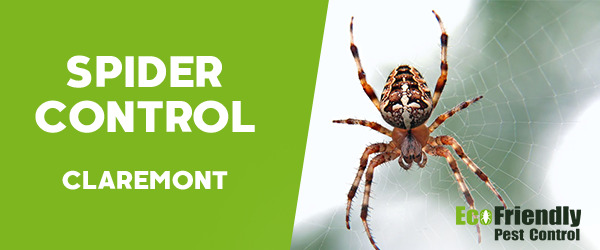 Spider Control  Claremont 