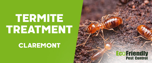 Termite Control  Claremont 