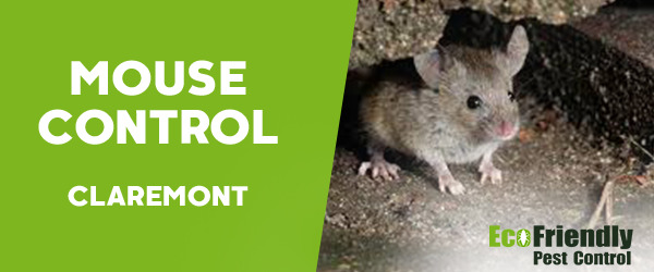 Mouse Control  Claremont 