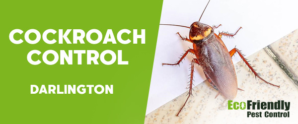 Cockroach Control  Darlington