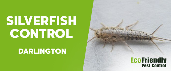 Silverfish Control  Darlington 