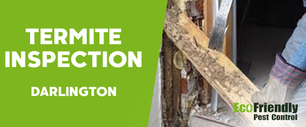 Termite Inspection  Darlington 