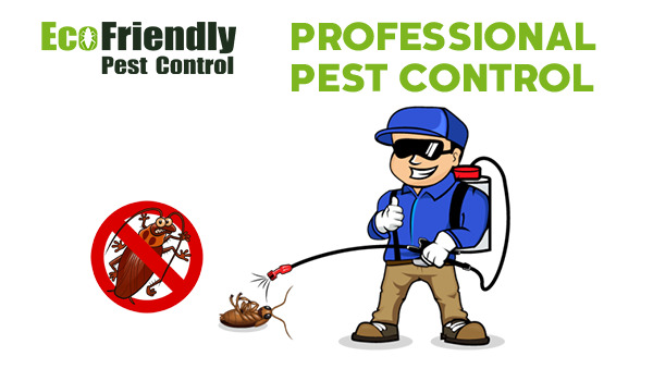 Pest Control Chidlow