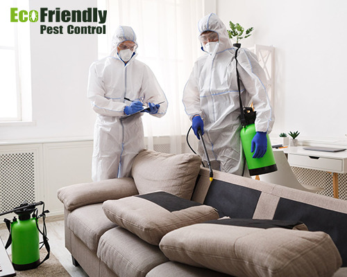 Best Pest Control Glen Forrest