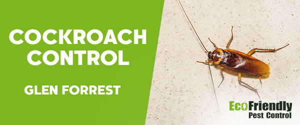 Pest Control Glen Forrest