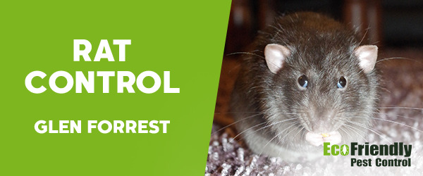 Pest Control Glen Forrest