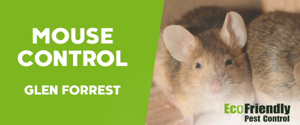 Pest Control Glen Forrest