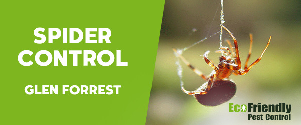 Pest Control Glen Forrest