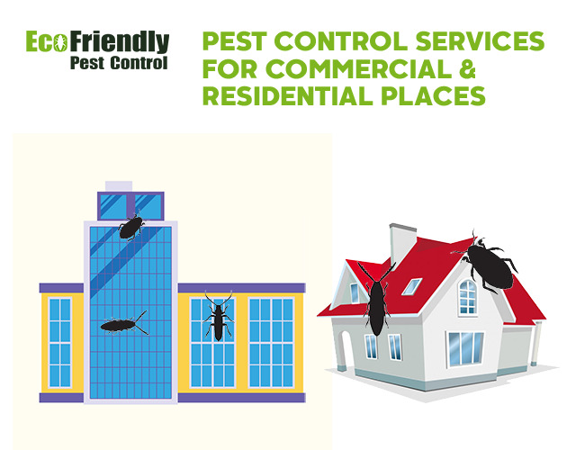 Pest Control Glen Forrest