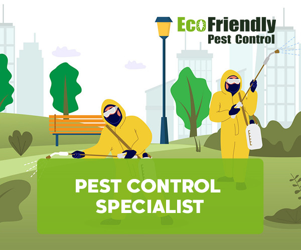 Pest Control GREENMOUNT