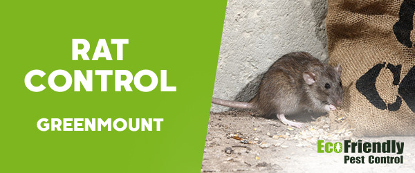 Pest Control GREENMOUNT