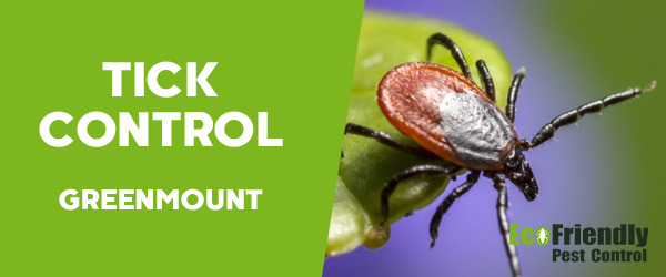 Pest Control GREENMOUNT