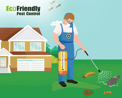 Pest Control GREENMOUNT