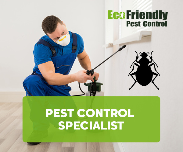 Pest Control Helena Valley