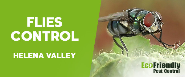 Pest Control Helena Valley