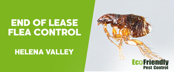 Pest Control Helena Valley