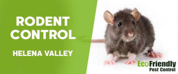 Pest Control Helena Valley