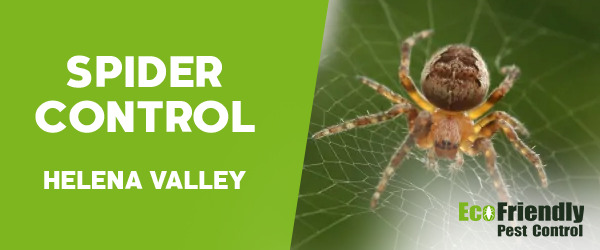 Pest Control Helena Valley