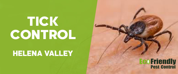 Pest Control Helena Valley