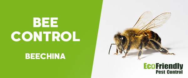 Pest Control Beechina