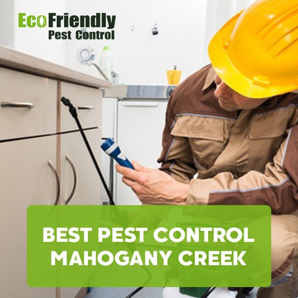 Best Pest Control MAHOGANY CREEK