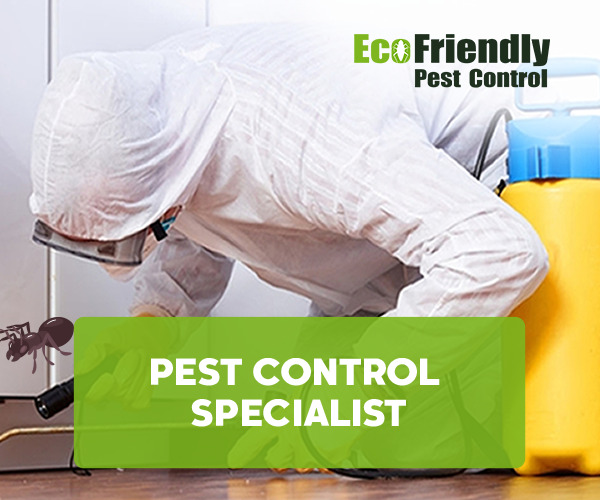 Pest Control Specialist