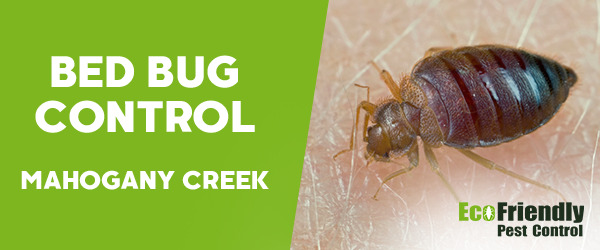 Bed Bug Control MAHOGANY CREEK