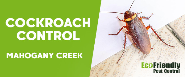 Cockroach Control MAHOGANY CREEK