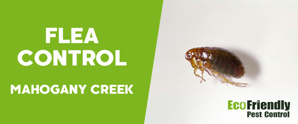 Fleas Control MAHOGANY CREEK