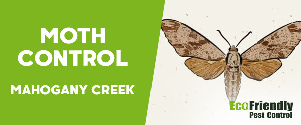 Moth Control MAHOGANY CREEK