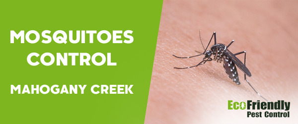 Mosquitoes Control MAHOGANY CREEK