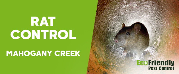 Rat Pest Control MAHOGANY CREEK