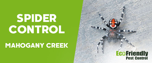 Spider Control MAHOGANY CREEK