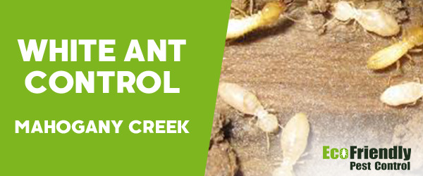 White Ant Control MAHOGANY CREEK