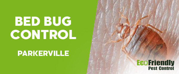 Bed Bug Control Parkerville