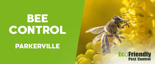 Bee Control Parkerville