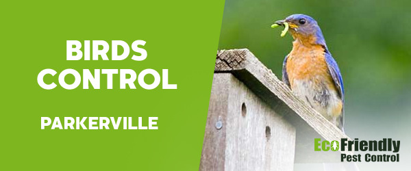 Birds Control Parkerville