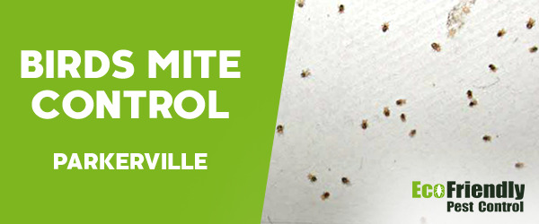 Bird Mite Control Parkerville