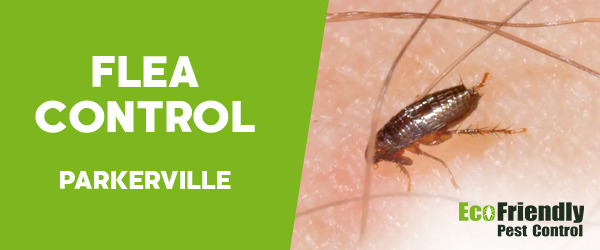 Fleas Control Parkerville