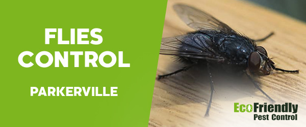 Flies Control Parkerville