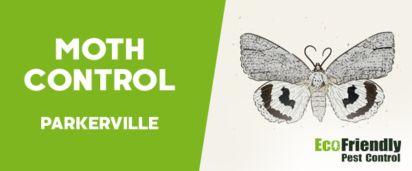 Moth Control Parkerville