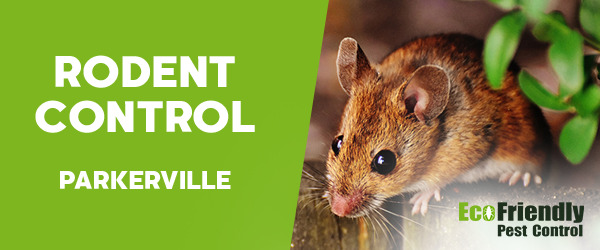 Rodent Treatment Parkerville