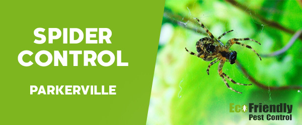 Spider Control Parkerville