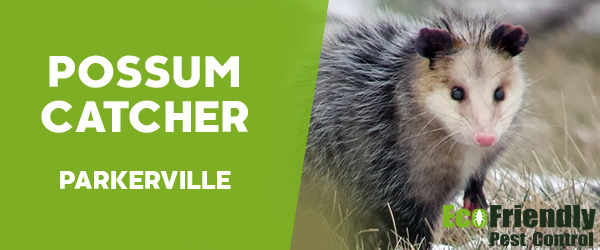 Possum Catcher Parkerville