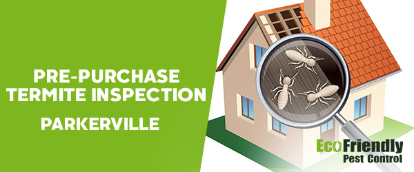 Pre-purchase Termite Inspection Parkerville