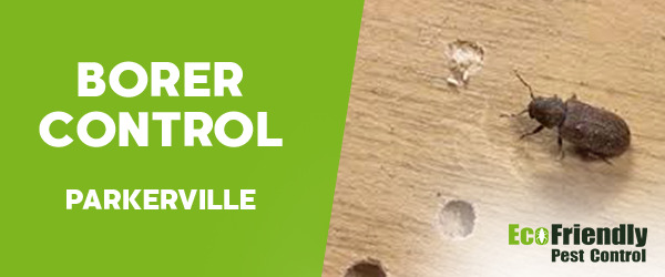 Borer Control Parkerville