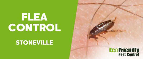 Pest Control Stoneville