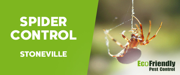 Pest Control Stoneville