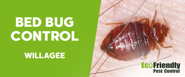 Bed Bug Control Willagee